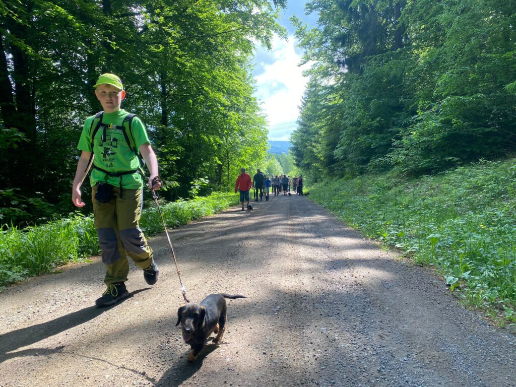 Teckelwanderung zum Schwarzen Kopf